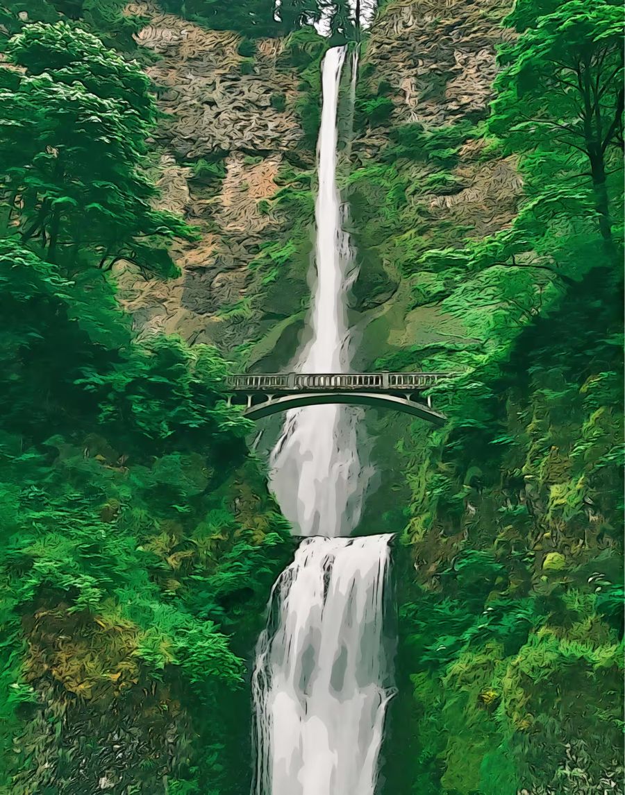 Forests, Multnomah Falls Waterfall Bridge Woods