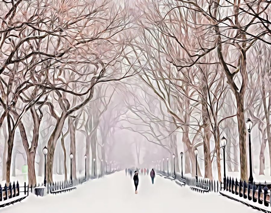 Seasonal, New York Central Park Snow