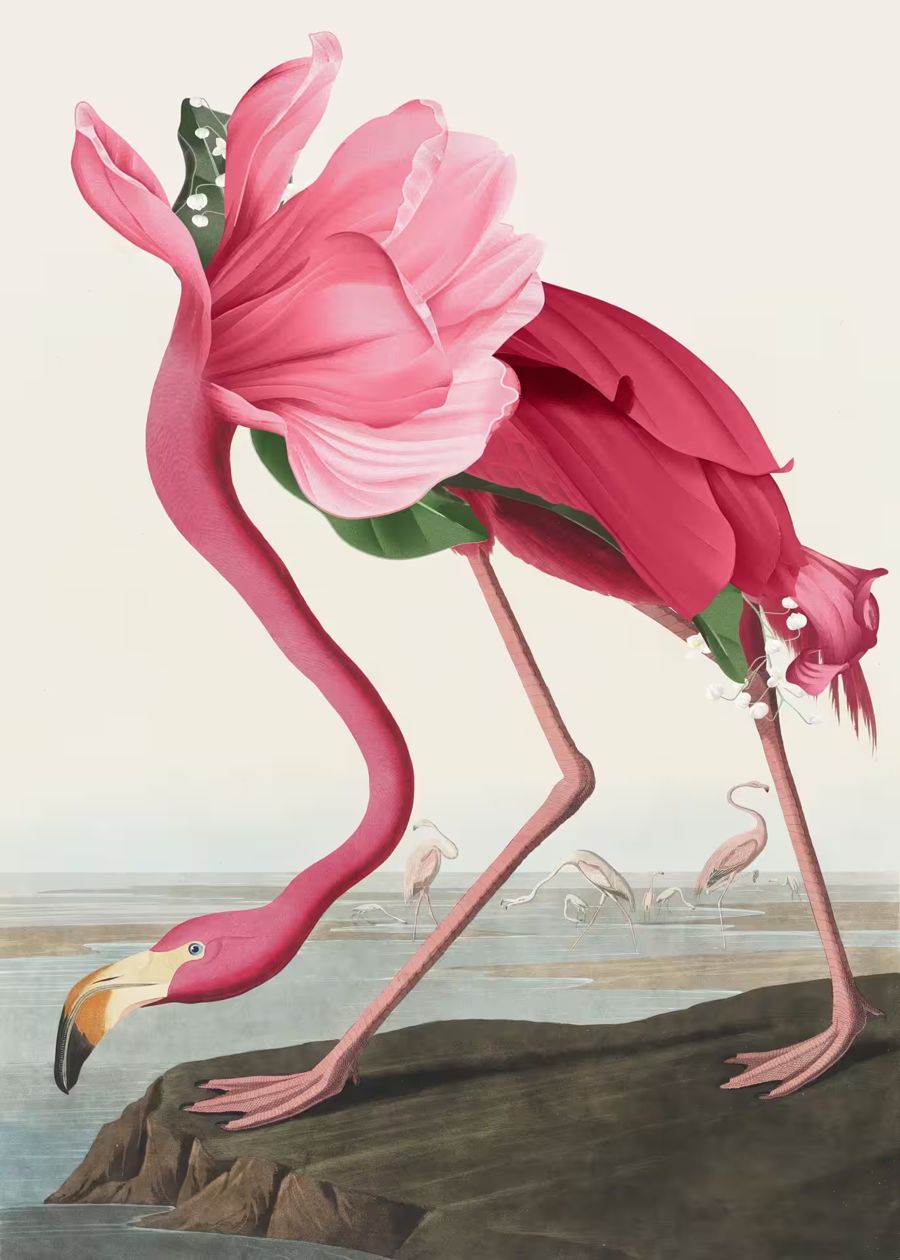Flowers, Pink Flamingo Flowers Body Altered