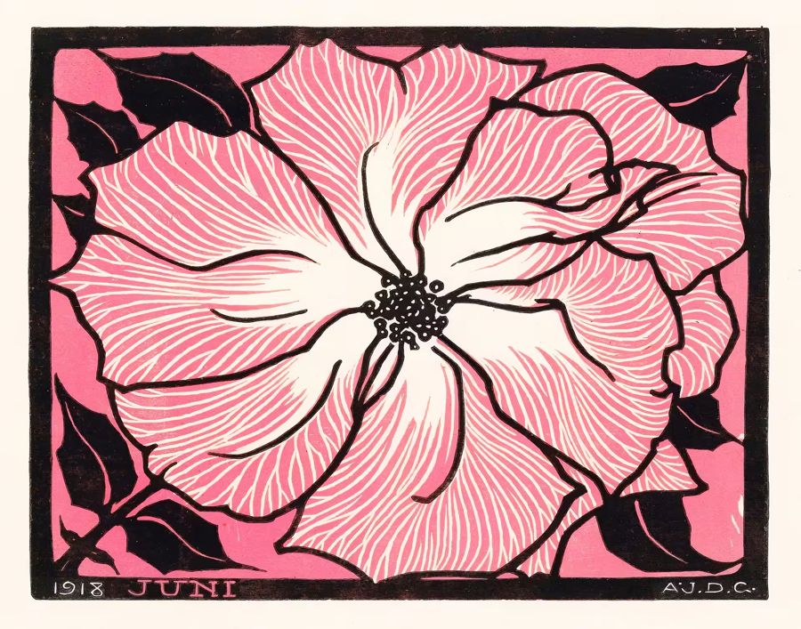 Flowers, Pink Rose Nouveau Retro Flower