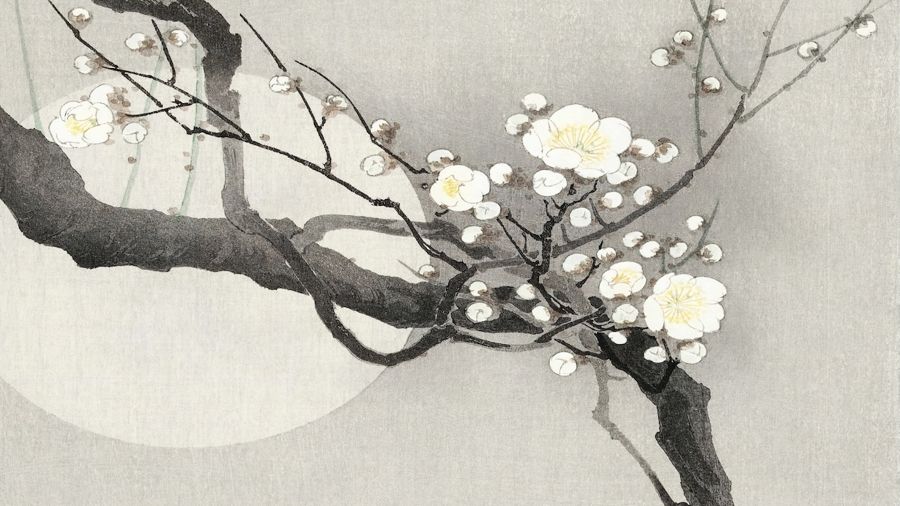 Flowers, Plum Blossom and Moon