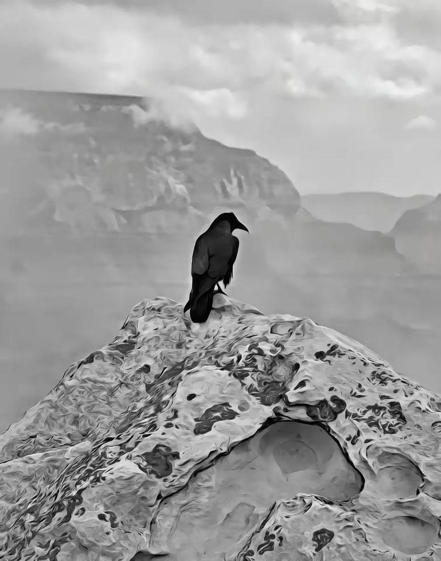 , Raven Rock Grand Canyon Crow