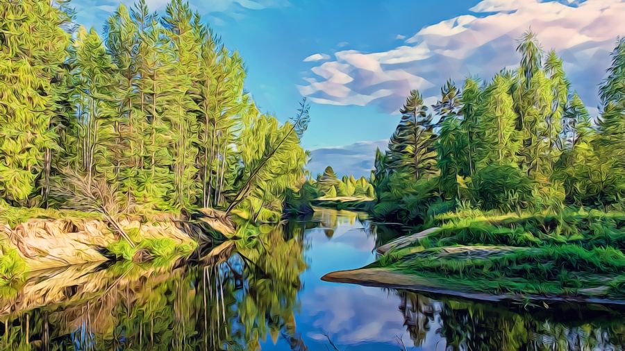 Forests, River Through Forest