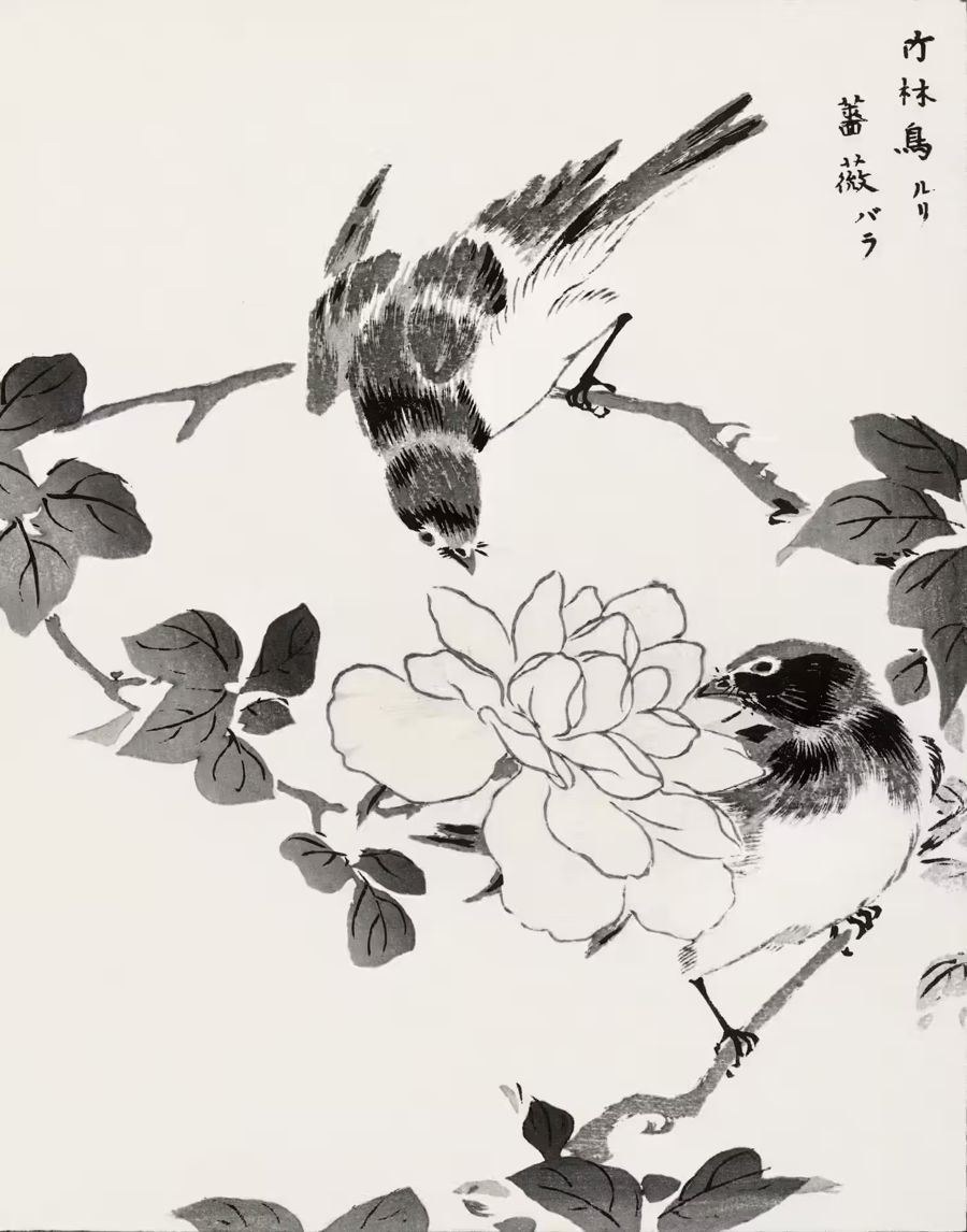 Flowers, Robin Birds Rose Japanese