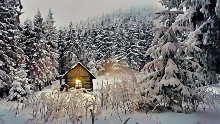 Seasonal, Small Cabin in Snow
