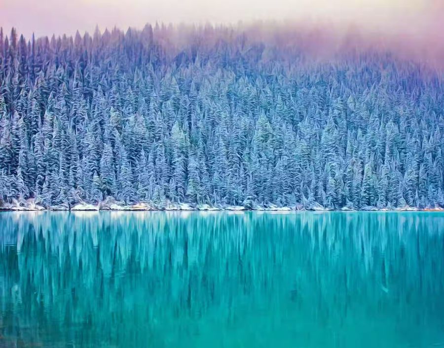 Seasonal, Snow Covered Woodland w