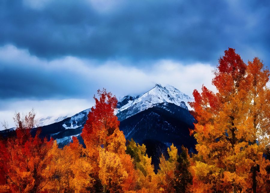 Seasonal, Snowy Mountain Fall Forest Landscape