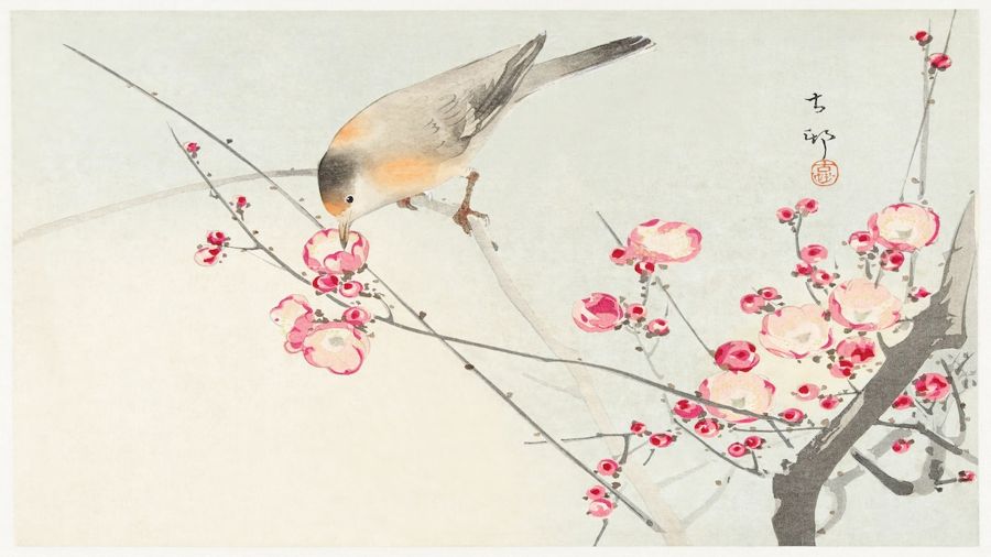 Flowers, Songbird on Blossom Branch