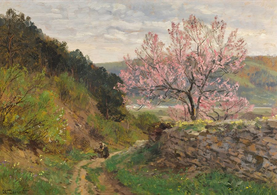 Seasonal, Spring Landscape Almond Blossom Country