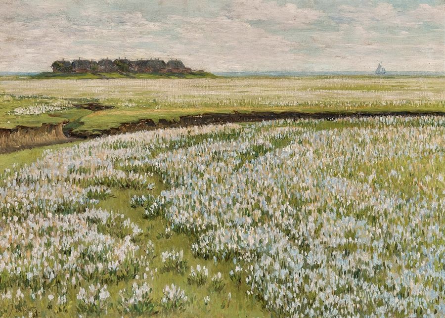 Countryside, Spring Meadow Landscape