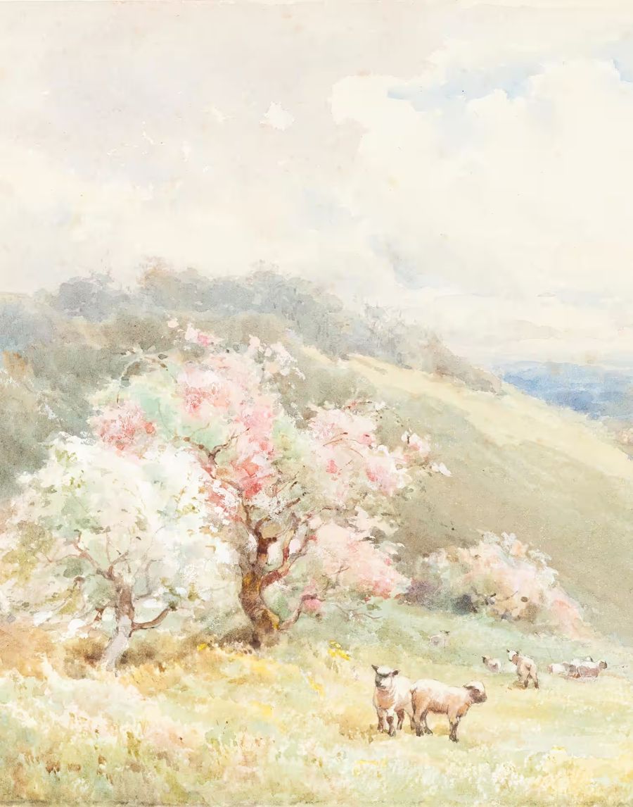 Countryside, Spring Meadow w