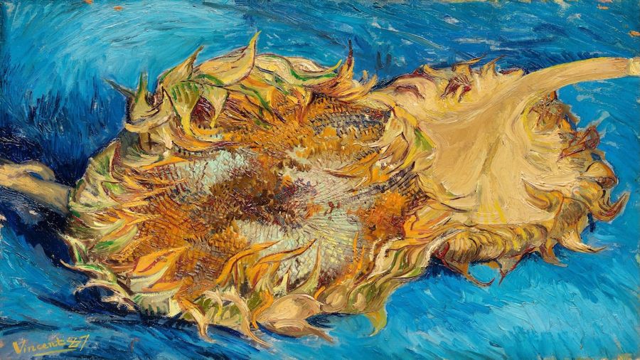 Vincent van Gogh, Sunflower