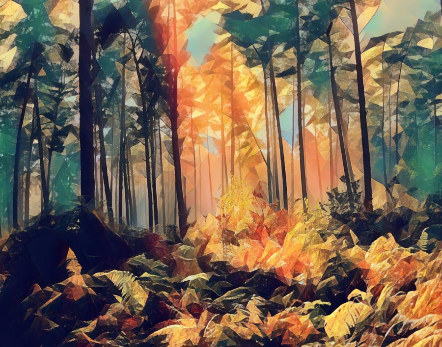Forests, Sunlight Through Forest Landscape