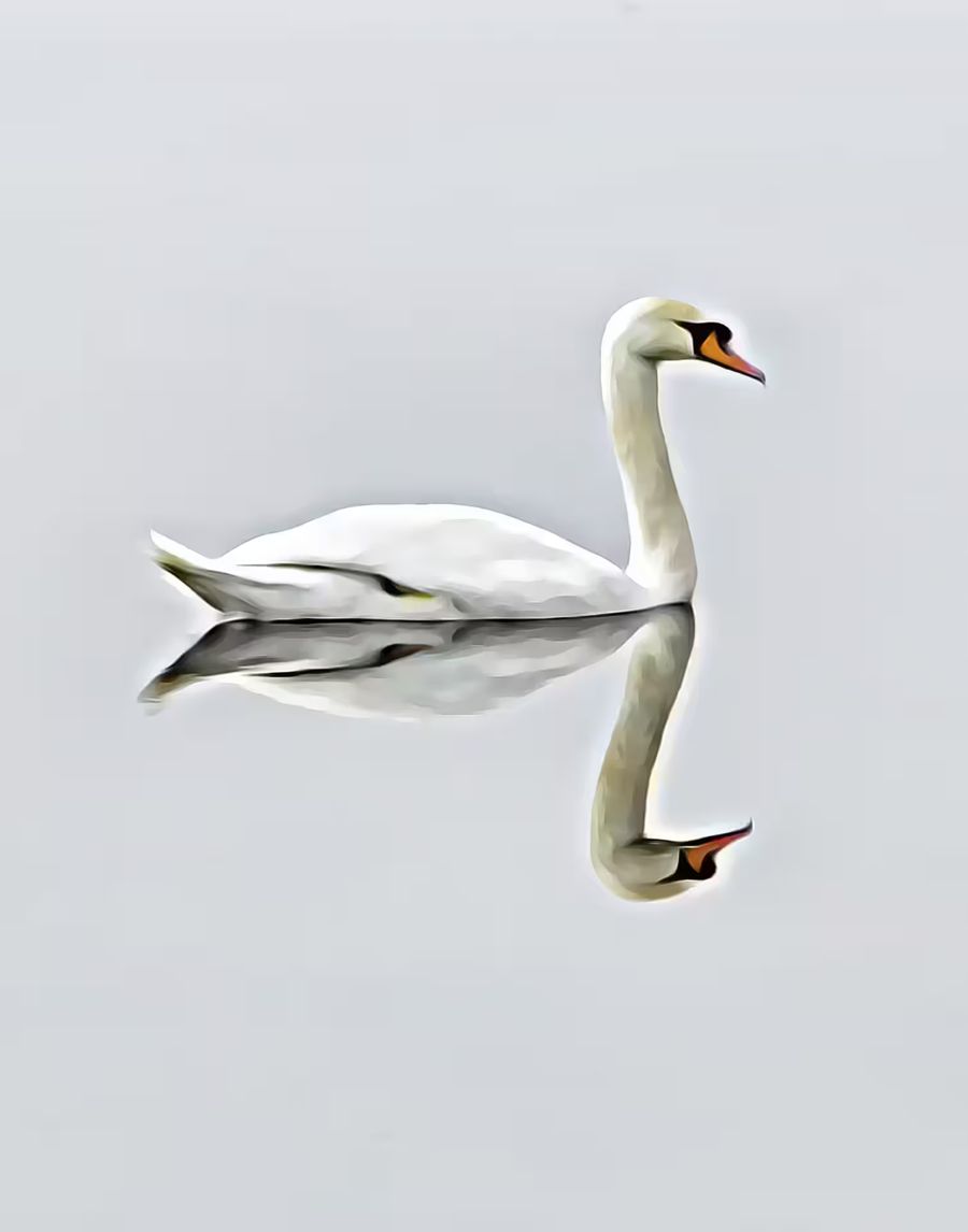 , Swan Home Office Decor Bird
