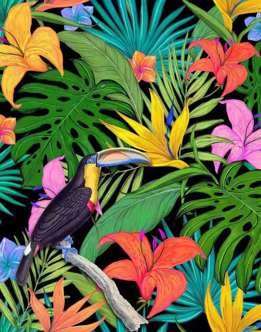 , Toucan Bright Colorful Decor Tropical