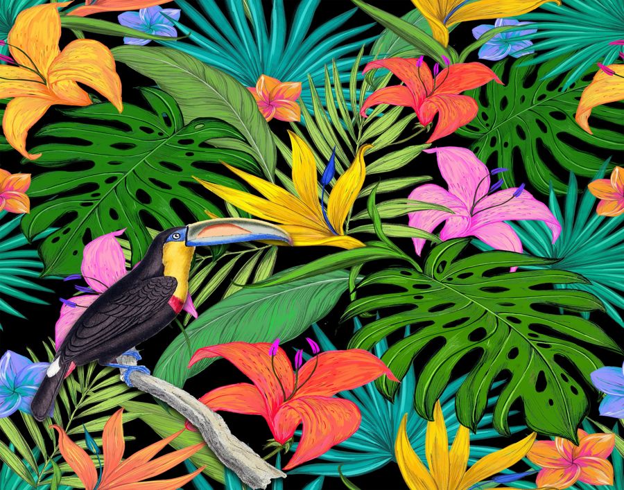 Flowers, Toucan Wildlife Nature Botanical