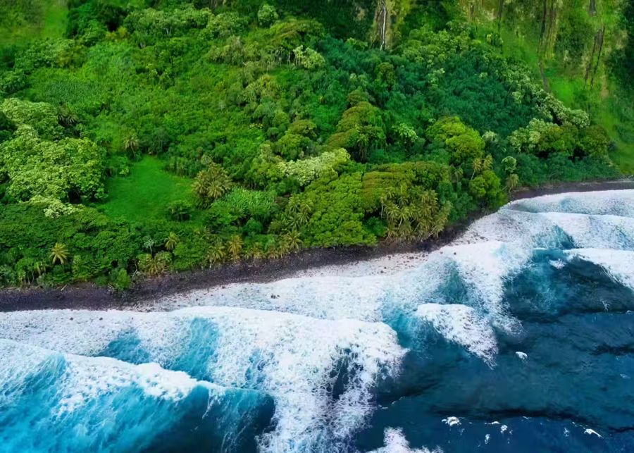 , Tropical Beach Top View Home