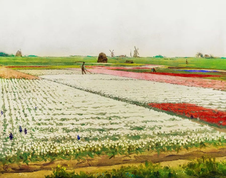 Countryside, Tulips Flowers Field Oil Decor