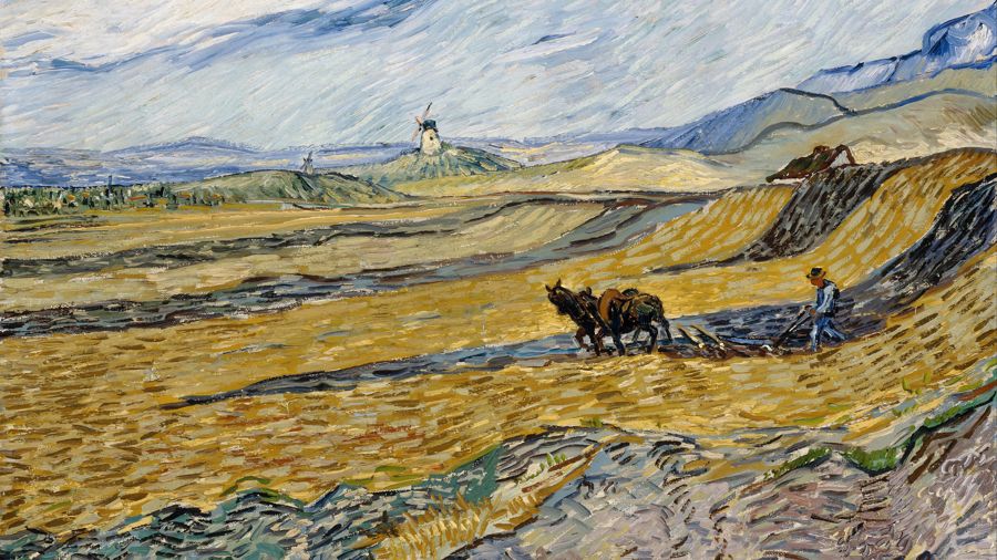 Vincent van Gogh, Enclosed Field with Peasant