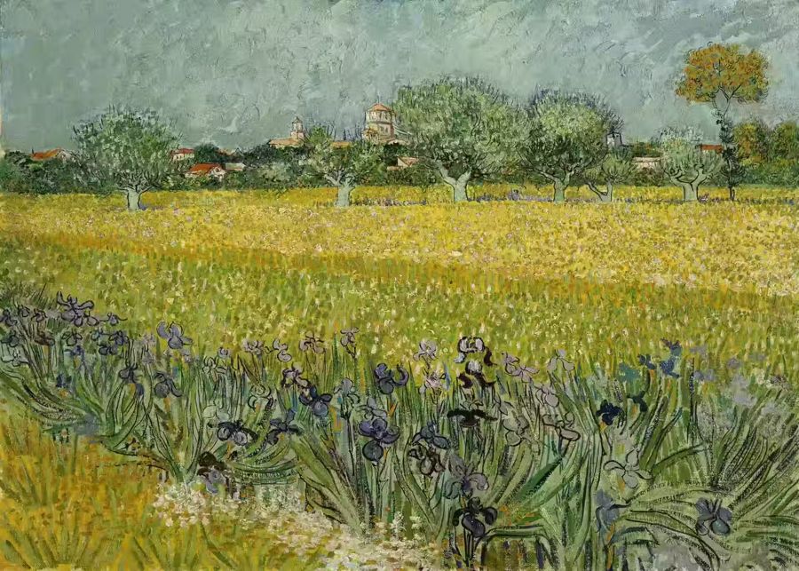 Vincent van Gogh, Vincent van Gogh Field Flowers