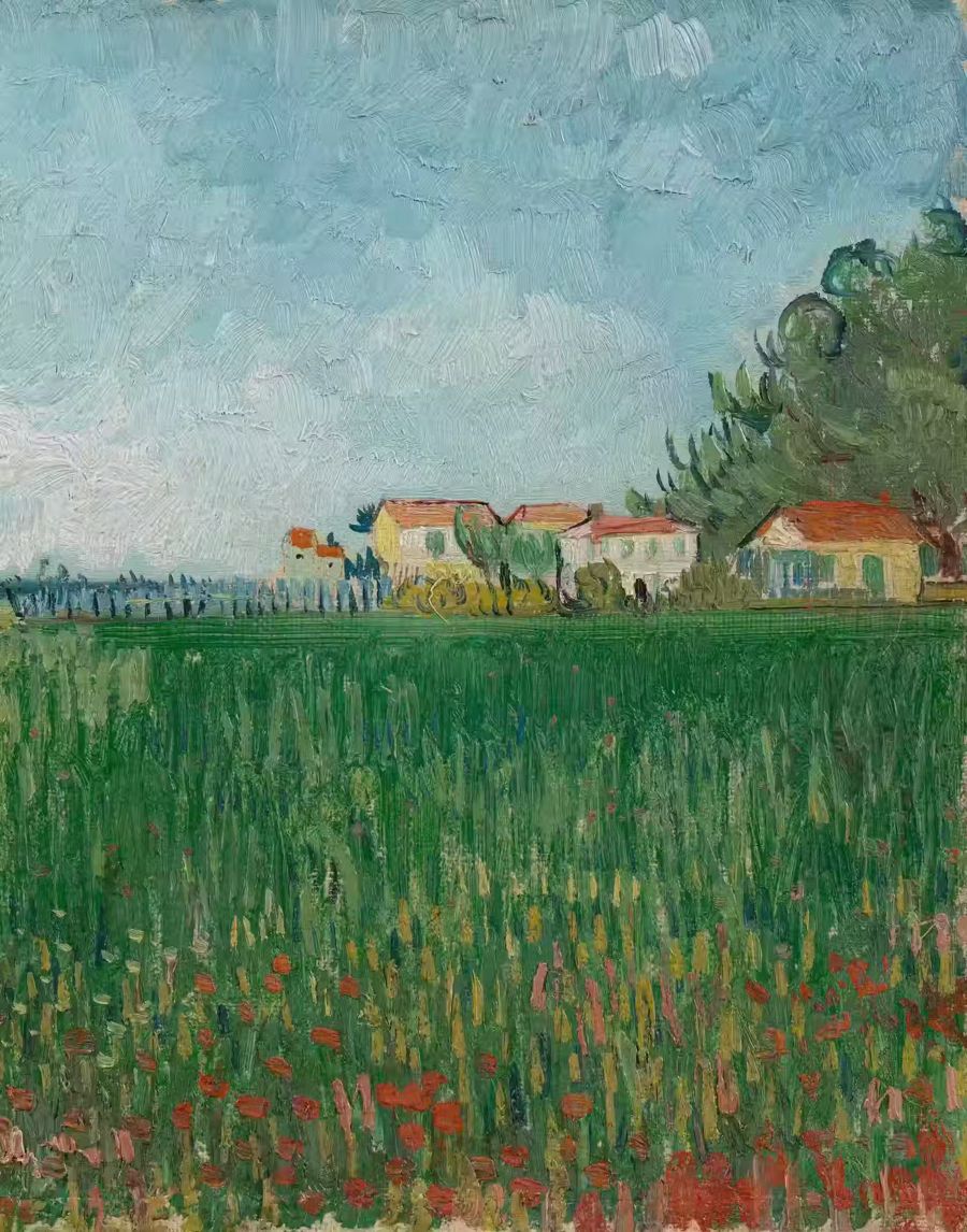 Vincent van Gogh, Vincent van Gogh Field Poppies