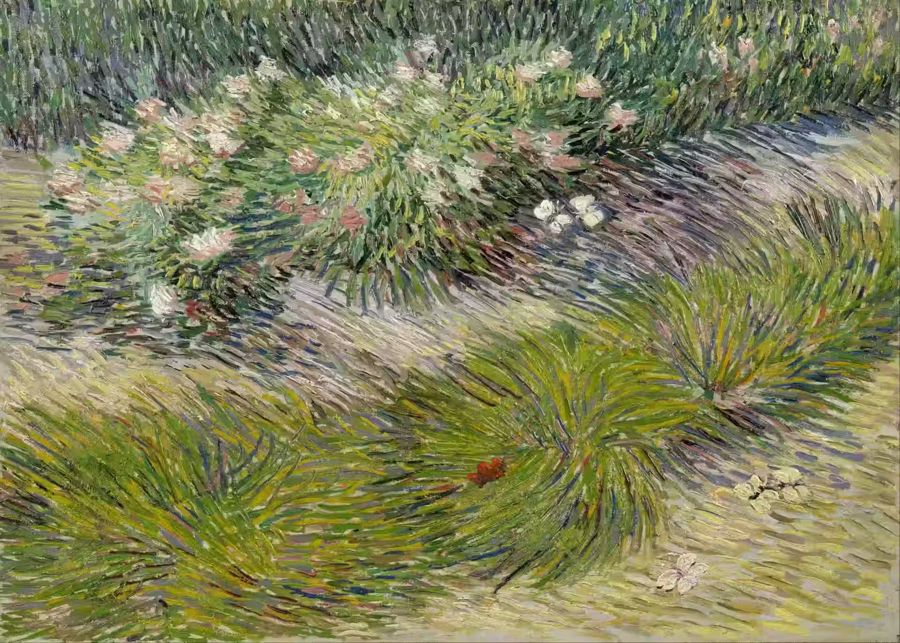 Vincent van Gogh, Vincent van Gogh Grass Butterflies