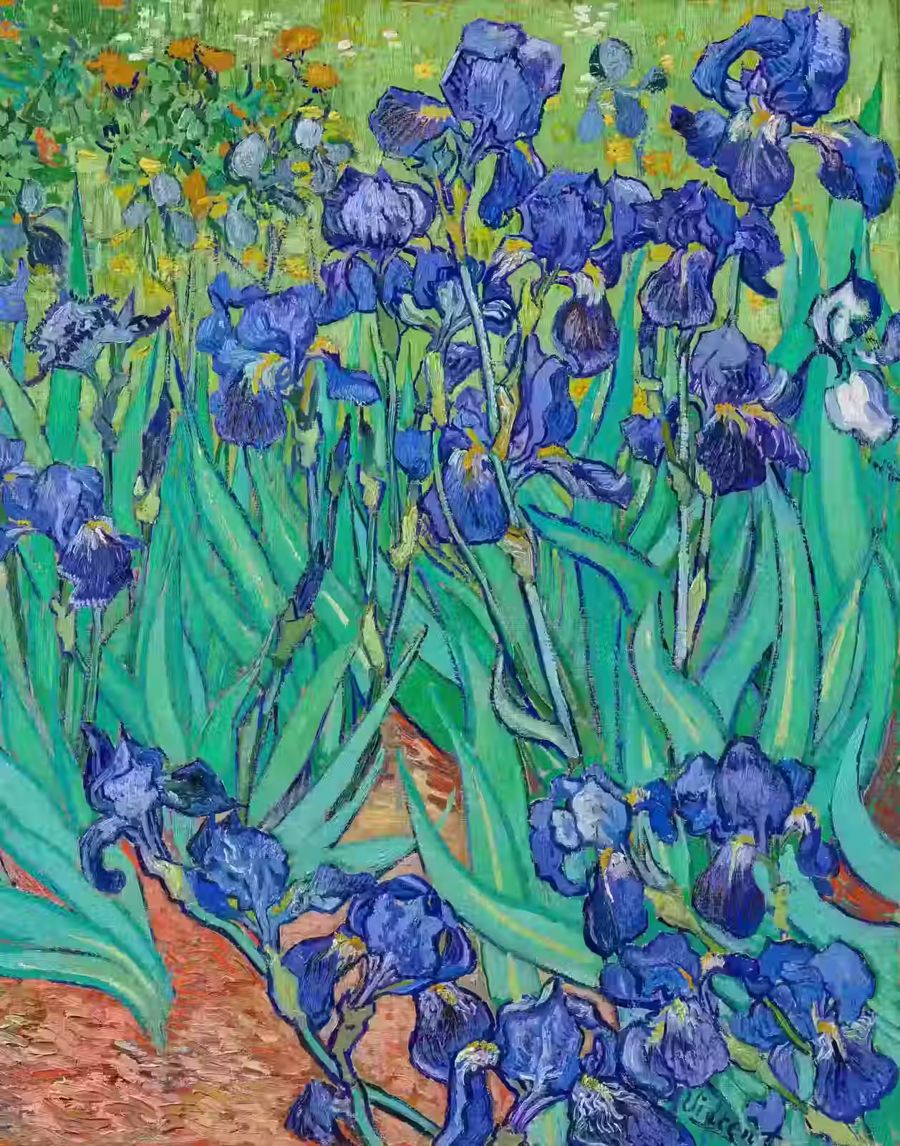 Vincent van Gogh, Vincent van Gogh Irises Fine