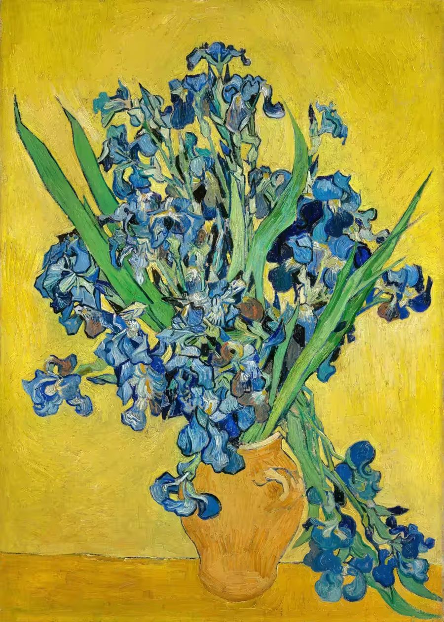 Vincent van Gogh, Vincent van Gogh Irises