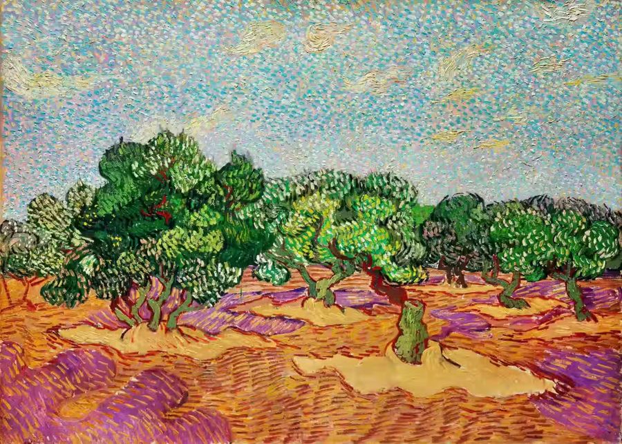 Vincent van Gogh, Vincent van Gogh Olive Trees