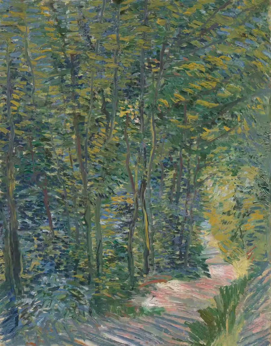 Vincent van Gogh, Vincent van Gogh Path Woods