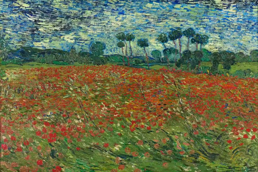 Vincent van Gogh, Vincent van Gogh Poppy Field