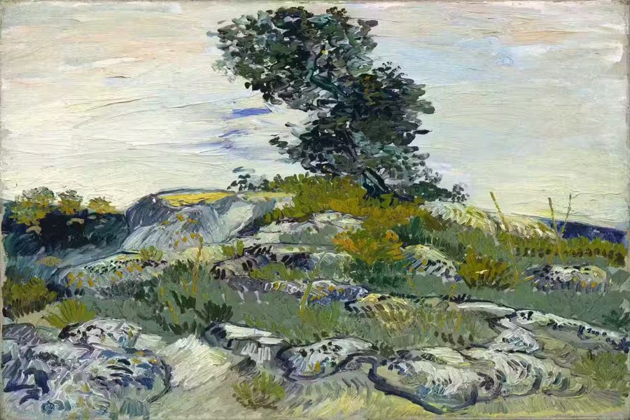 Vincent van Gogh, Vincent van Gogh Rocks