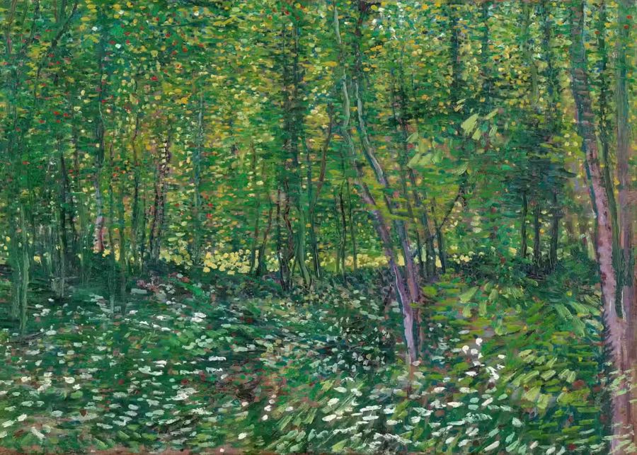 Vincent van Gogh, Vincent van Gogh Trees Undergrowth
