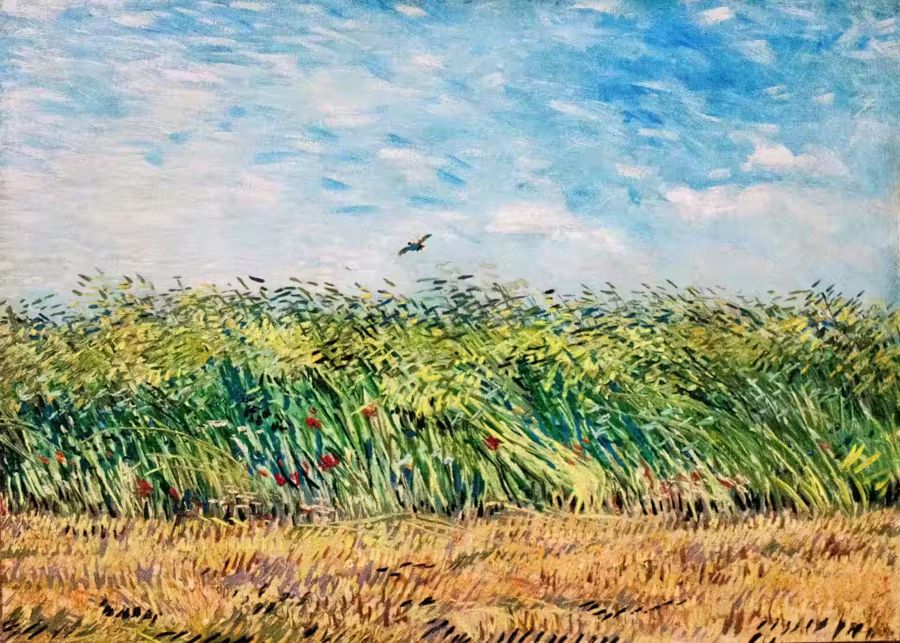 Vincent van Gogh, Vincent van Gogh Wheat Field