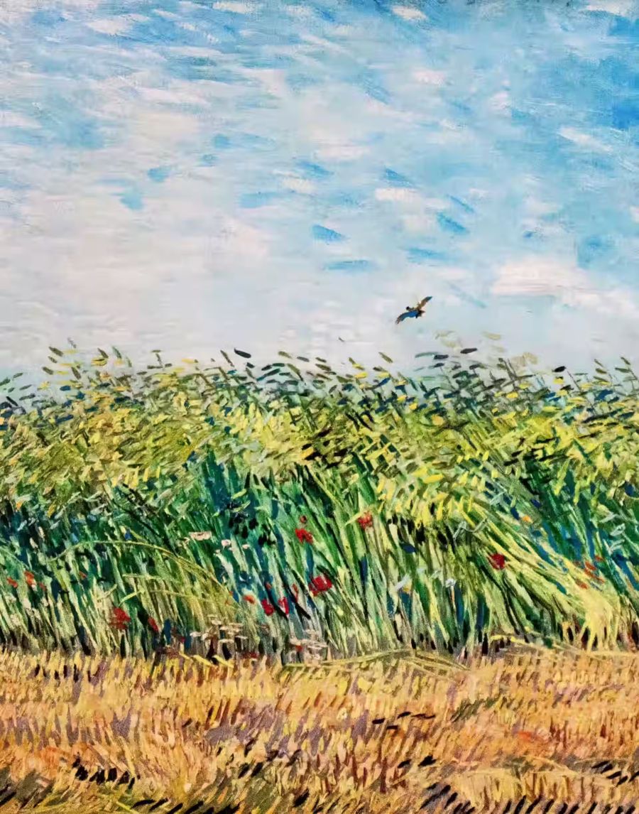 Vincent van Gogh, Vincent van Gogh Wheat Field w
