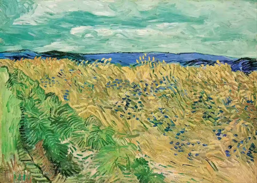 Vincent van Gogh, Vincent van Gogh Wheatfield Cornflowers