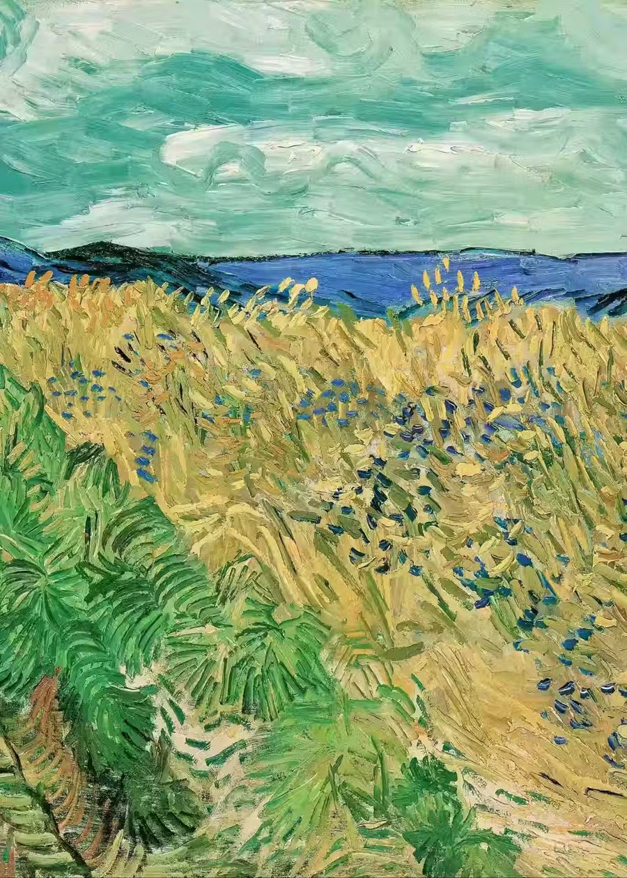 Vincent van Gogh, Vincent van Gogh Wheatfield Cornflowers