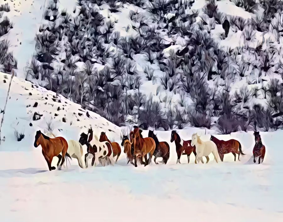 Seasonal, Wild Horses Snow Horse Animal