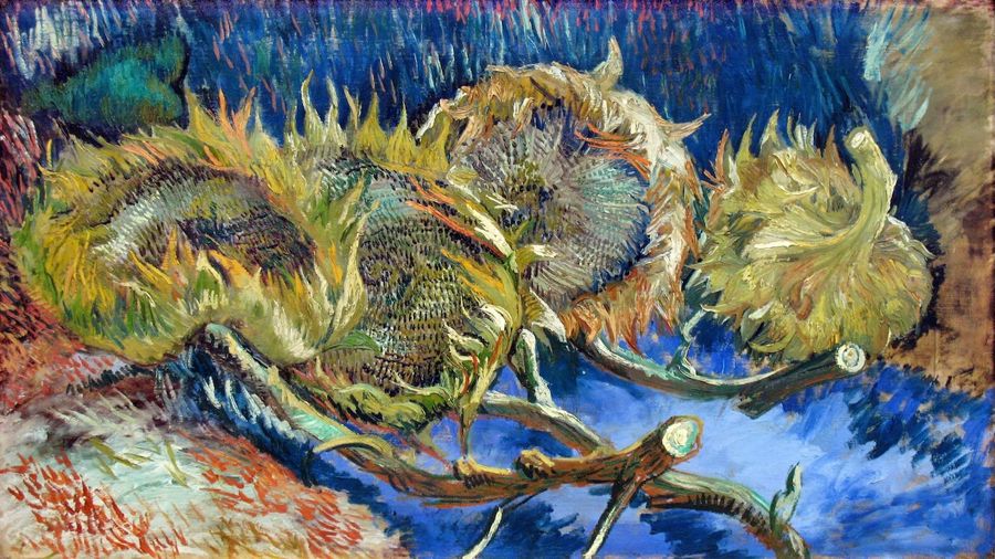 Vincent van Gogh, Withered Sunflowers