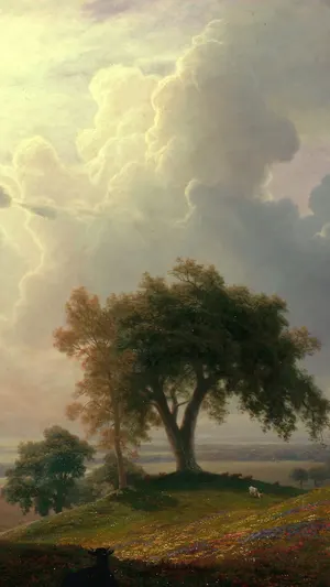 California Spring wallpaper