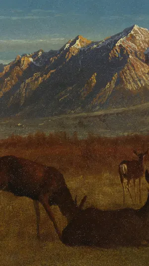 Deer in a Mountain Home wallpaper