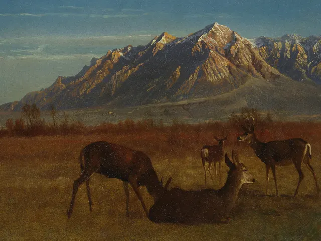 Deer in a Mountain Home by Albert Bierstadt, horizontal tablet wallpaper
