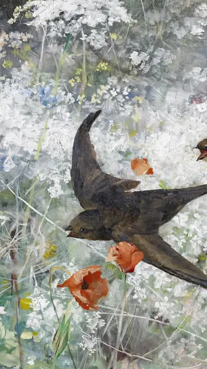 Common Swifts wallpaper