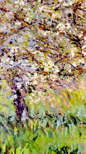 Apple Trees In Bloom At Giverny wallpaper