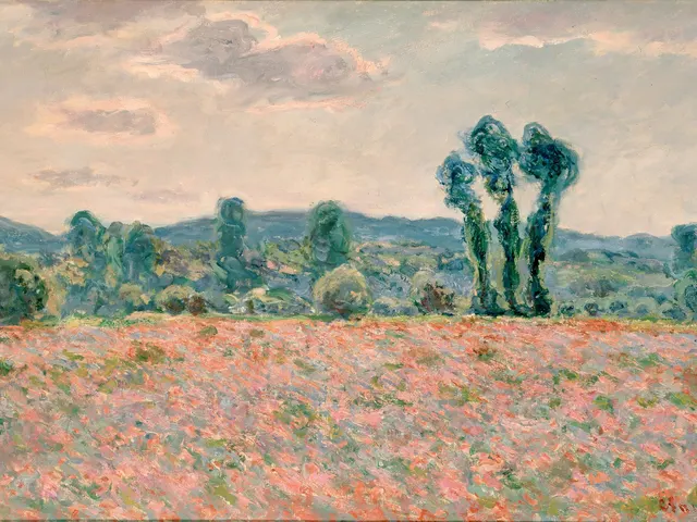 Poppy Field by Claude Monet, horizontal tablet wallpaper