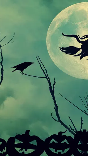 Moonlit Flight wallpaper