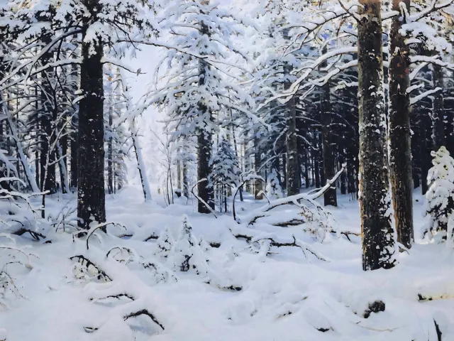 Winter by Ivan Shishkin, horizontal tablet wallpaper