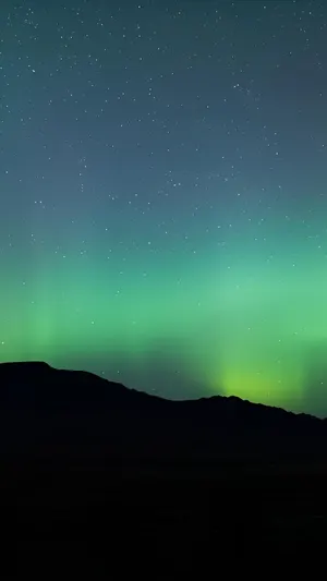Stars Above wallpaper
