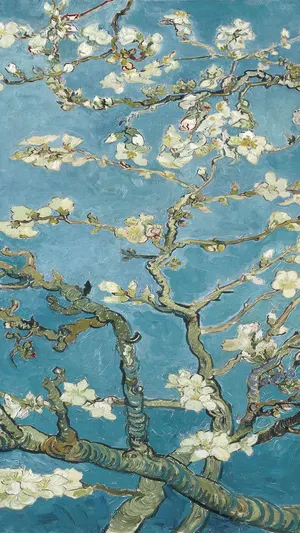 Almond Blossom wallpaper