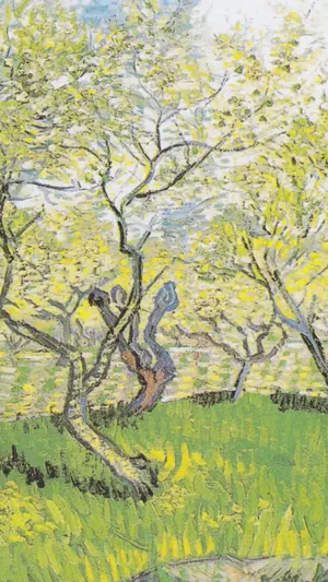 Orchard In Blossom wallpaper